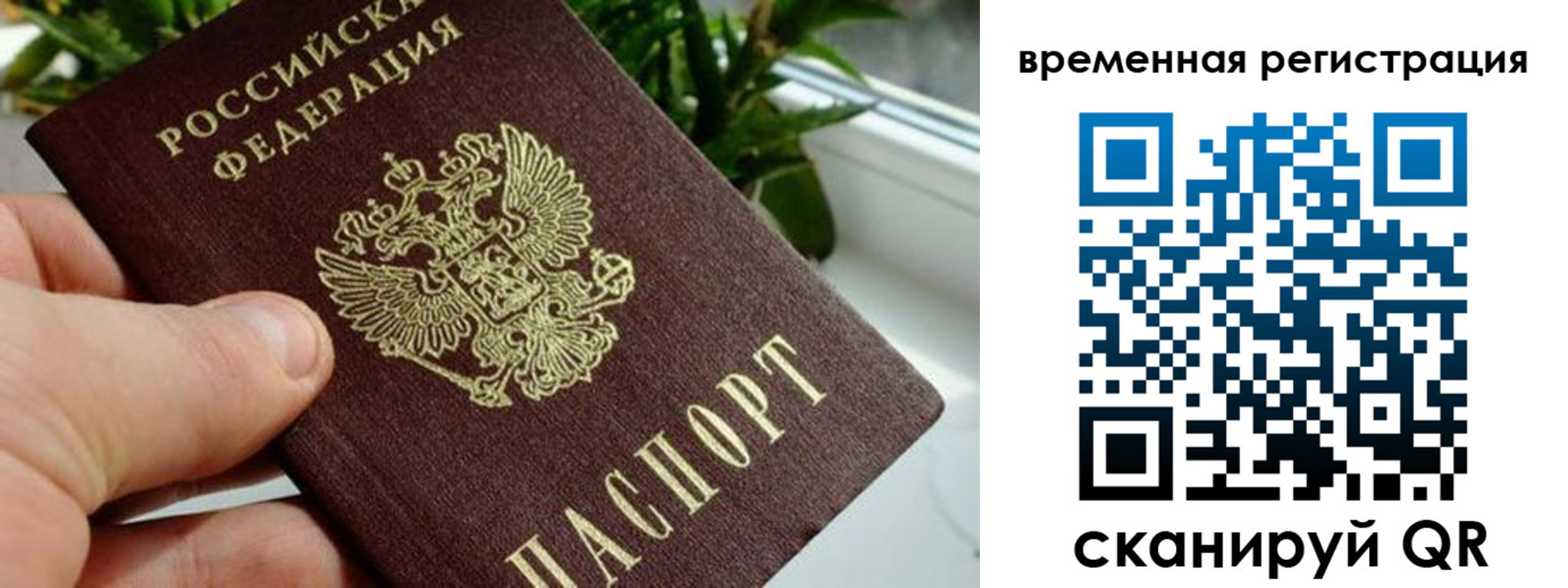 прописка поиск в Крыму